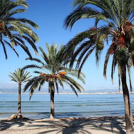 Planet One - Adults Only 16 Years 3* El Arenal (Mallorca)