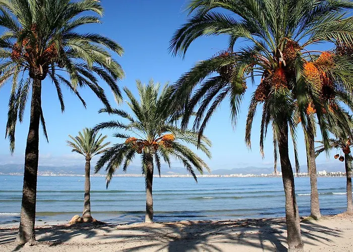 Planet One - Adults Only 16 Years 3* El Arenal (Mallorca)